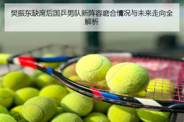 樊振东缺席后国乒男队新阵容磨合情况与未来走向全解析
