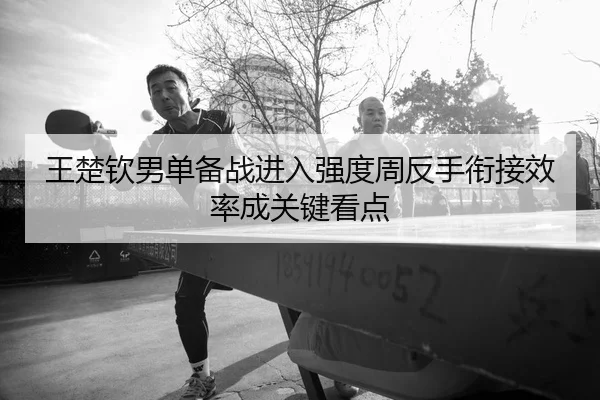 王楚钦男单备战进入强度周反手衔接效率成关键看点