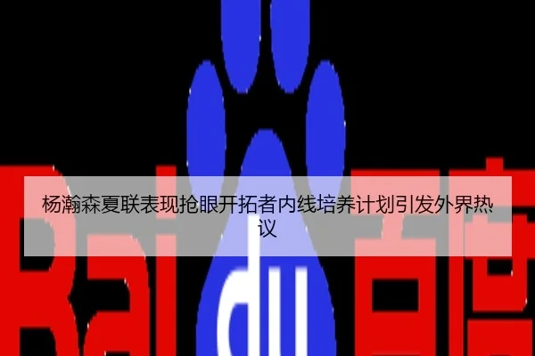 杨瀚森夏联表现抢眼开拓者内线培养计划引发外界热议